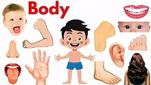 Parts of Body _ Body Parts Name _ Name of Body Parts in English with Pictures _ _bodyparts _Educare(144P)