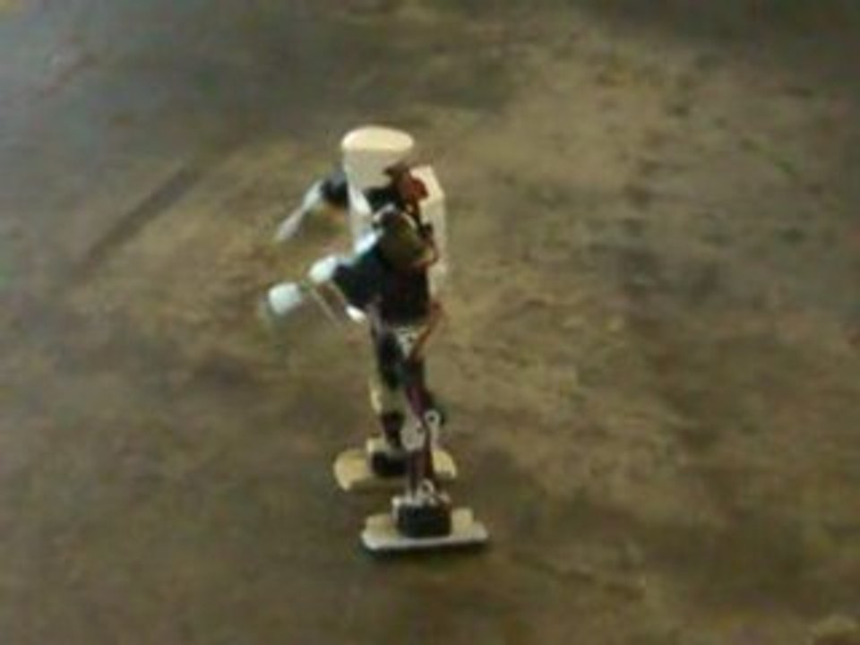 Japan Expo 9 - Robot