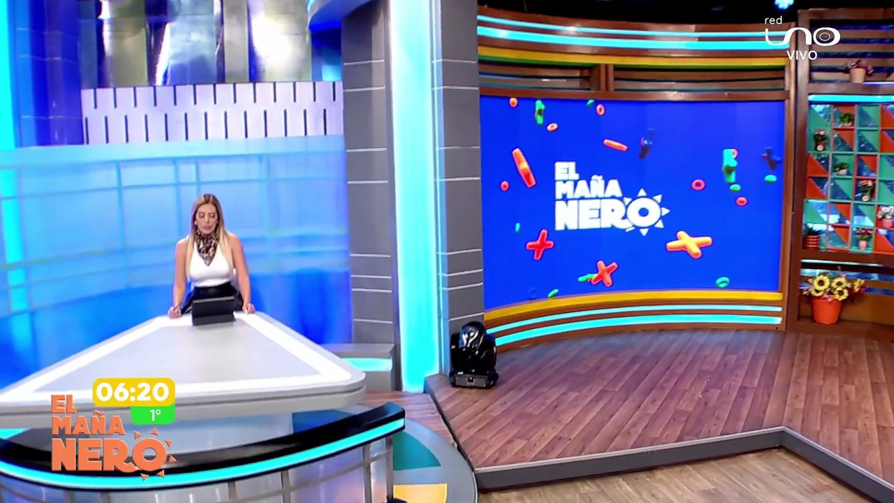 TEMA MINERIA