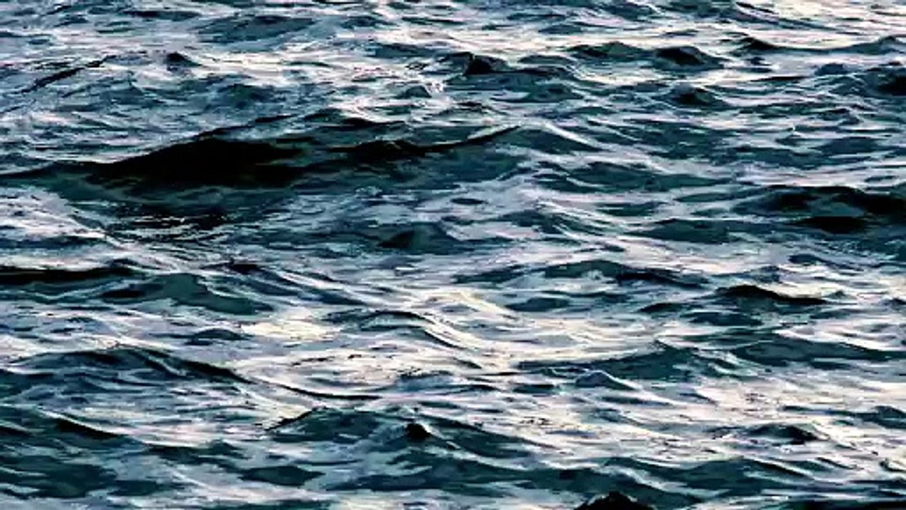 Waves, Lake, Darkness. Free Stock Video