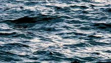 Waves, Lake, Darkness. Free Stock Video