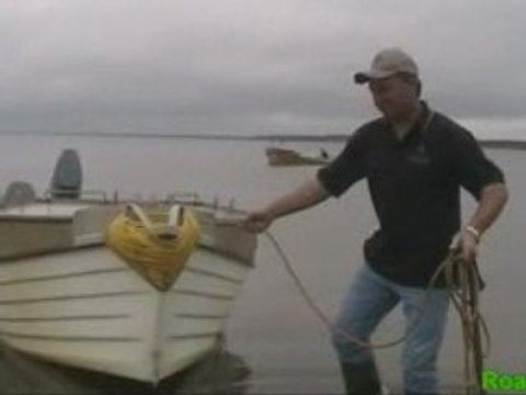 Everything You Wanted to Know About Oysters - P.E.I.