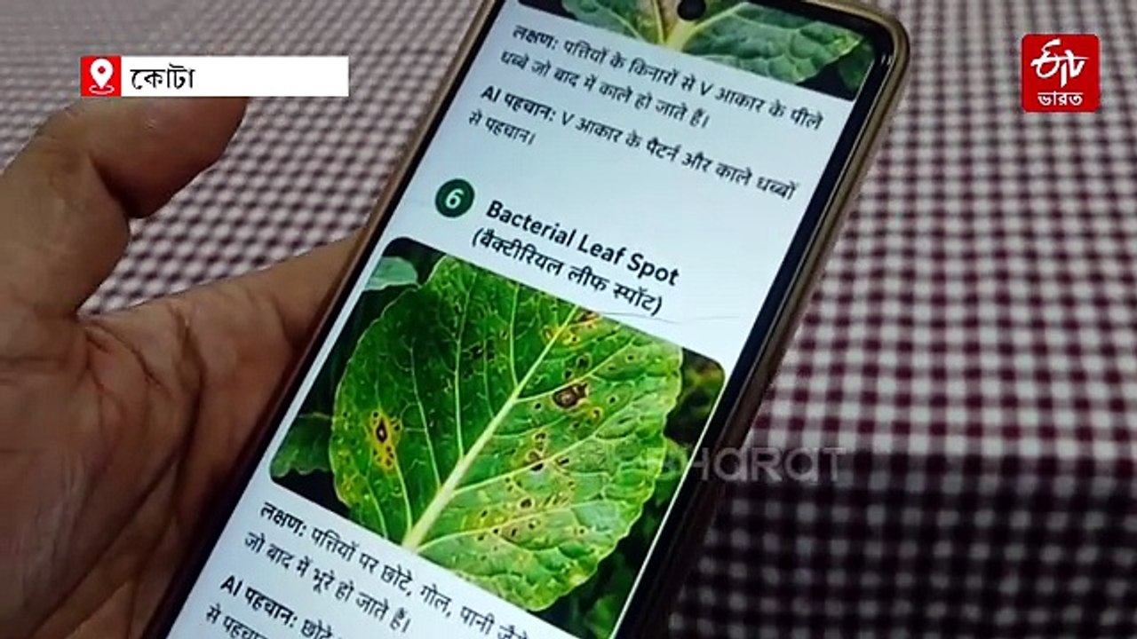 AI অ্যাপের সাহায্যে ফসলের রোগ নির্ণয় ও সমাধান,...
