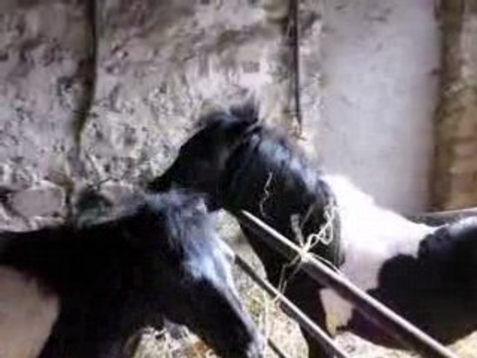 Sports Vacances 2008