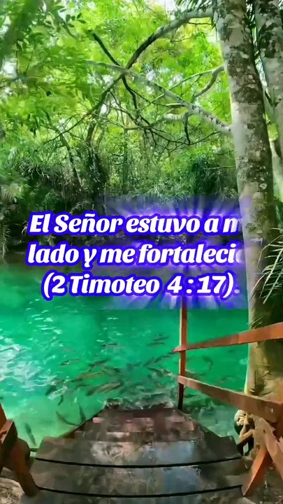 Reflexiones Bíblicas