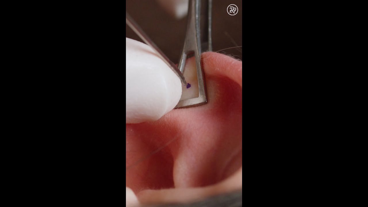 What Getting Your Ear Cartilage Pierced Is Like Up Close #shorts
