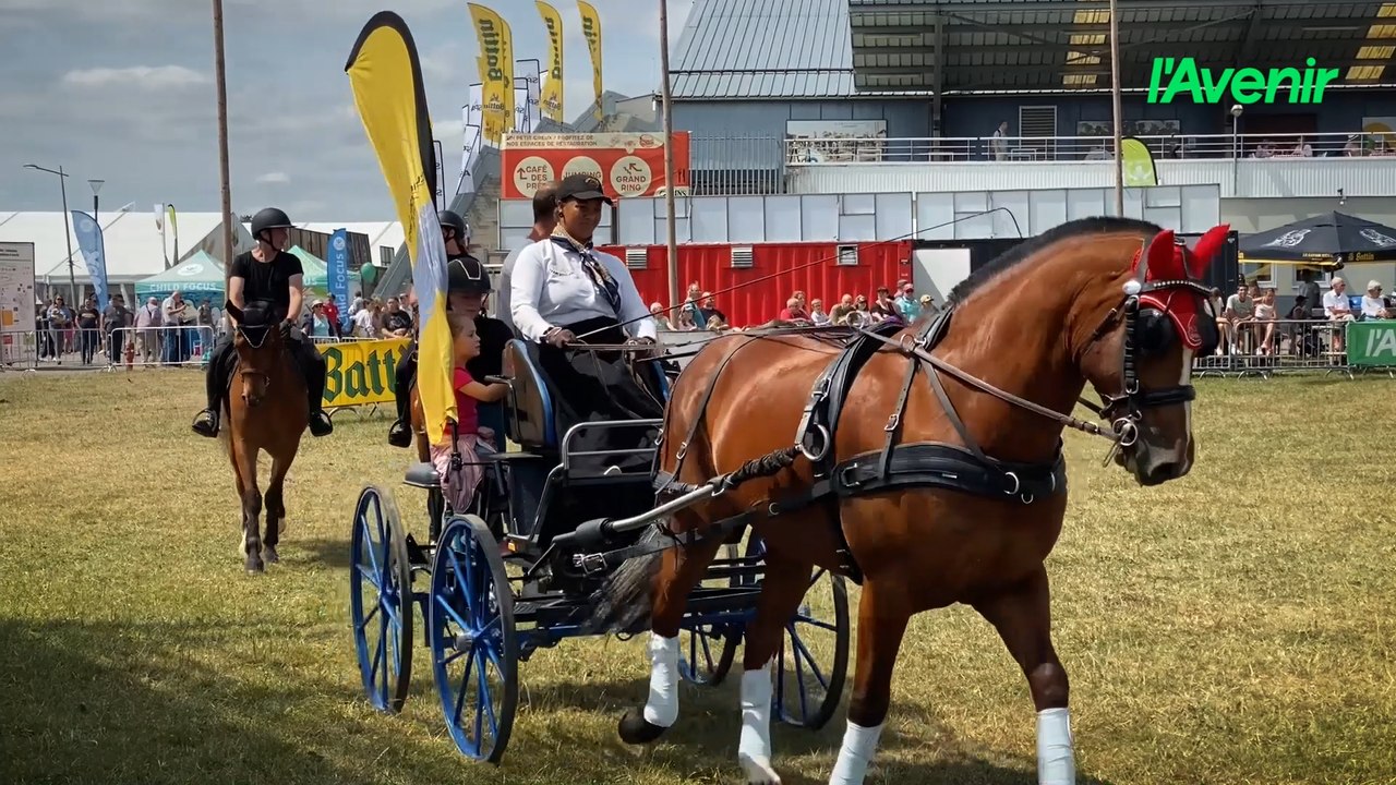 Chevaux et attelages : l'Écurie des Îles de Hatrival séduit le public à la Foire de Libramont