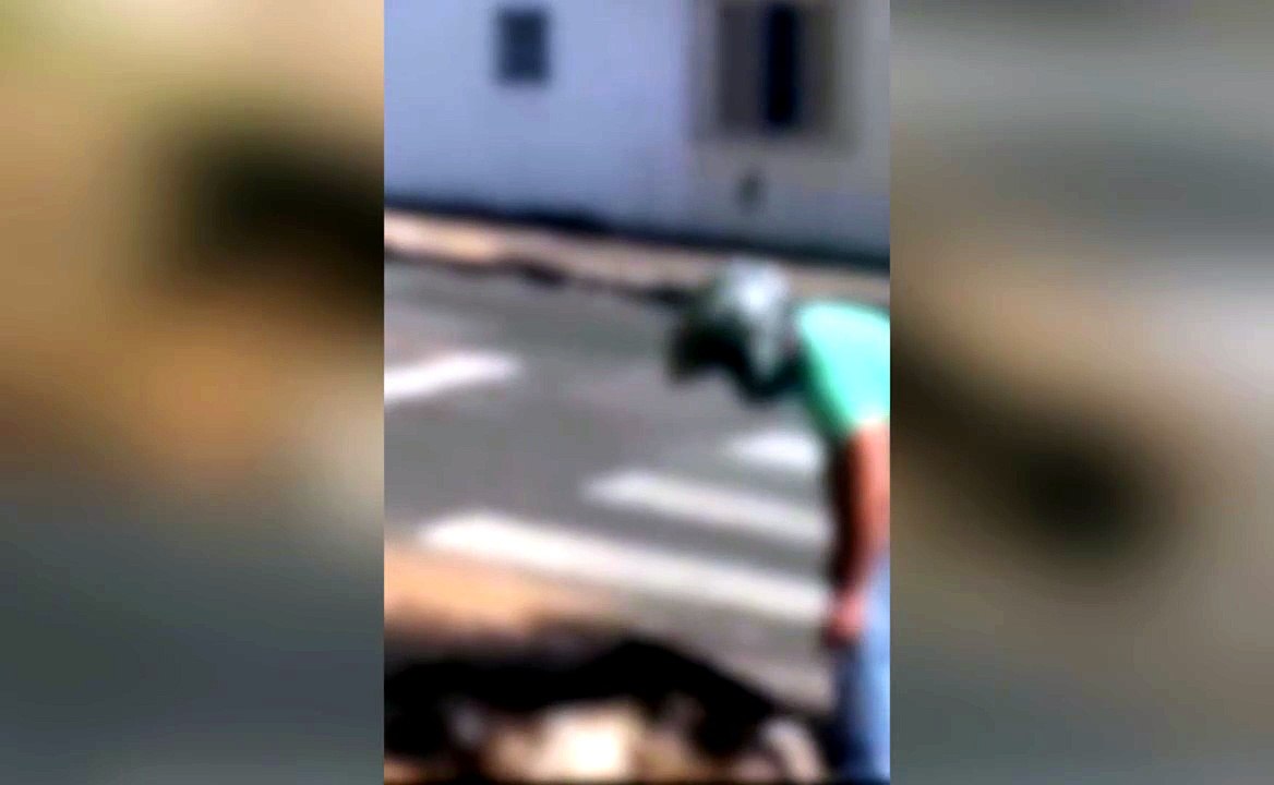 Vizinhos socorrem cachorro que homem ateou fogo