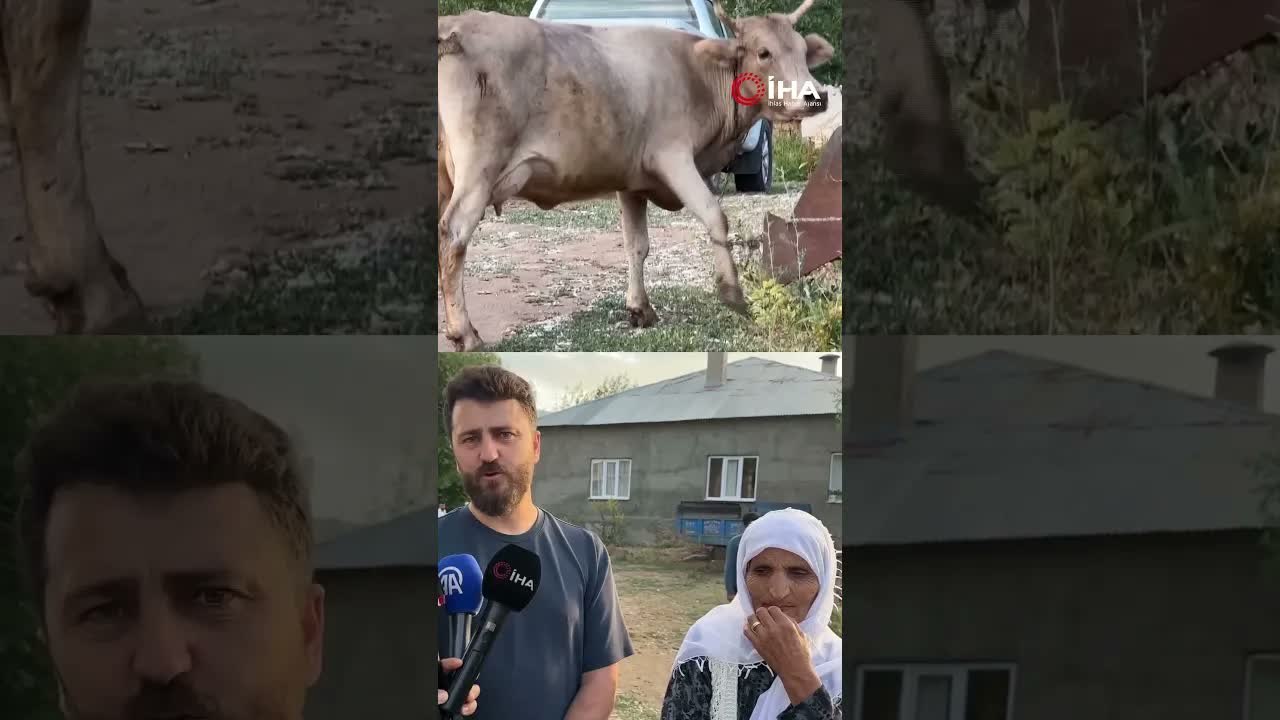 İHA'nın haberi teyzenin yüzünü güldürdü