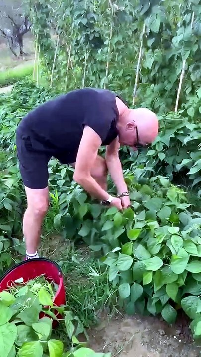 VIDEO / Ciccio Graziani e la nostalgia per Notti Mondiali: "Stavo così bene, ora nell'orto..."