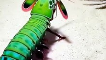 Underwater world || viral video underwater || Video