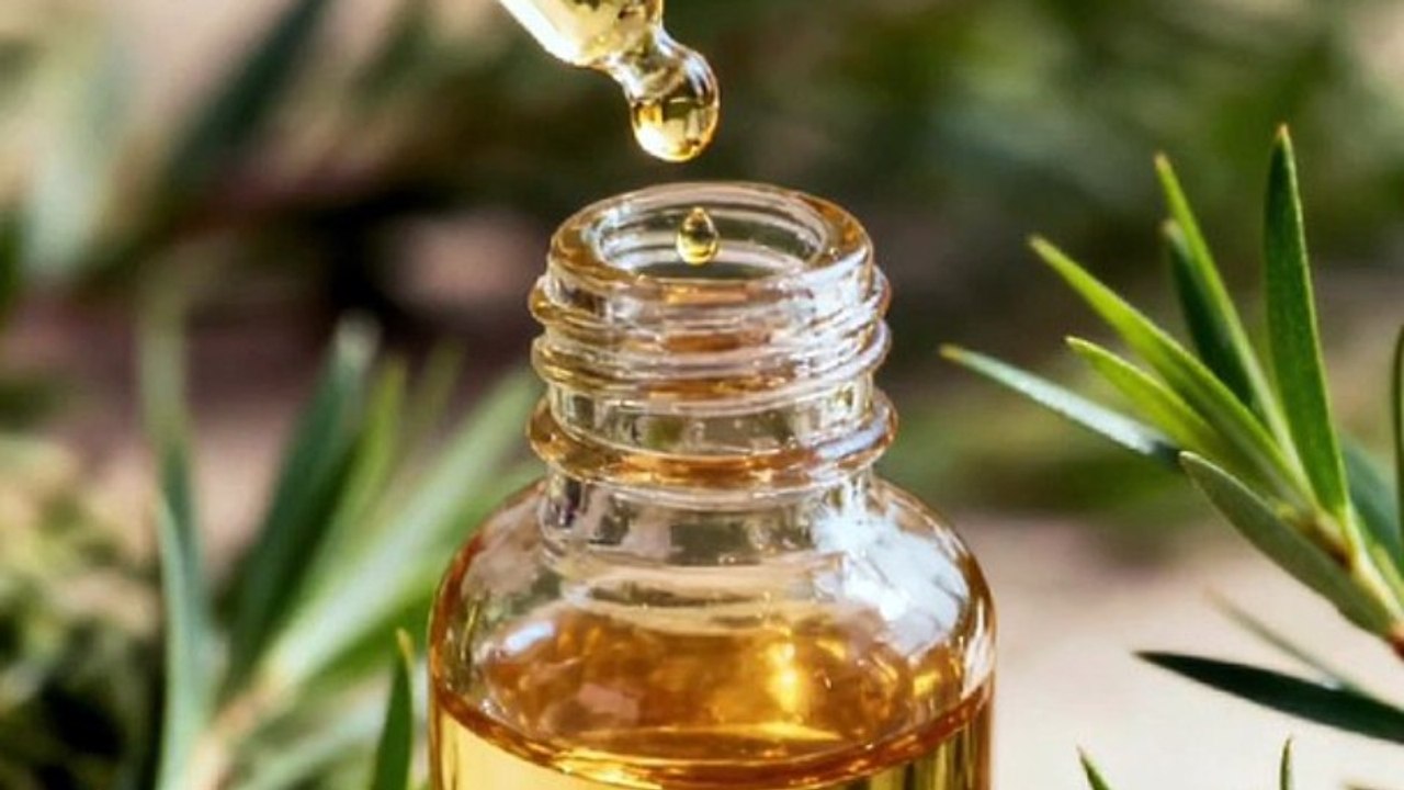 natural oil that heals the skin natural