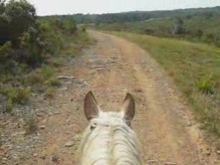 Sous le chant des cigales