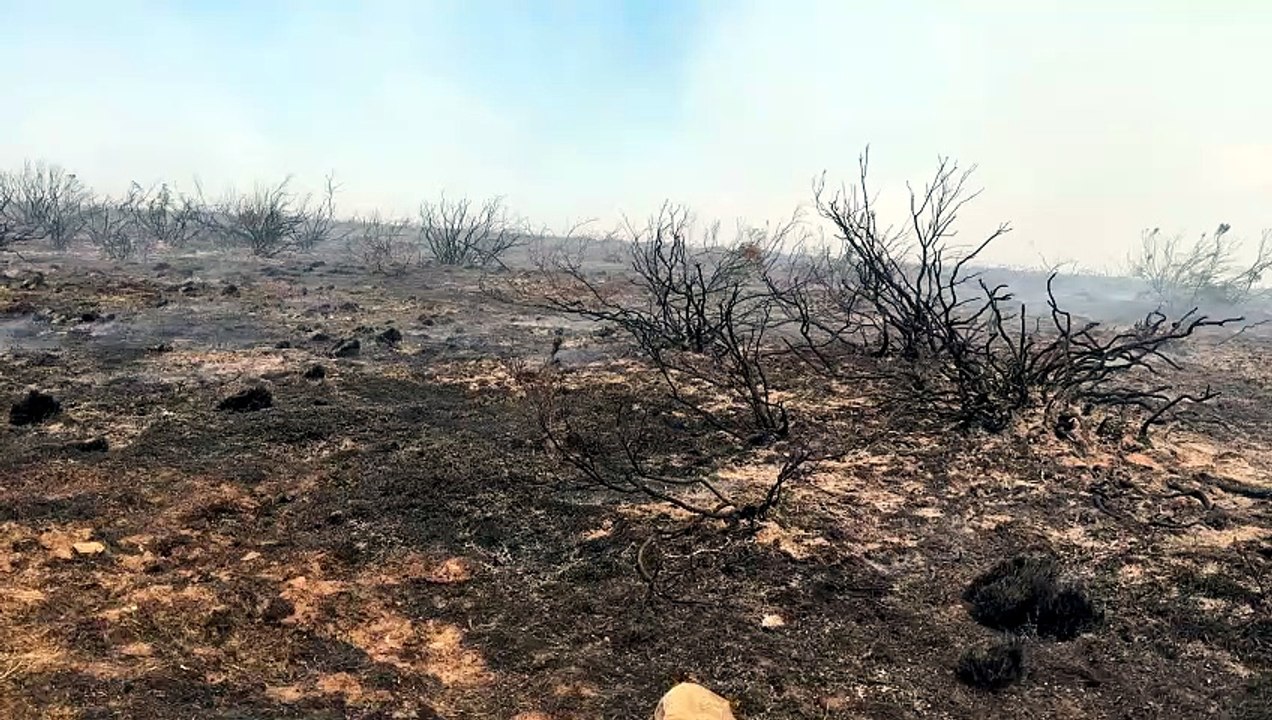Incendio de Andarraso