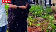 4300+ पेड़ों की कटाई... क्या विकास के लिए प्रकृति की यह कीमत सही है? 🌳😢