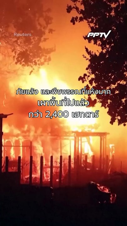 ไฟป่าลุกลามทั่วฝรั่งเศส–สเปนหลายหมื่นคนเร่งอพยพ | PPTV Online