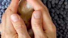 Maltipoo puppy Bailey and his growing up video 😊🐾💙🐾🐶 #puppy #maltipoo #cutedoggy #maltipoopuppy #teacuppuppies