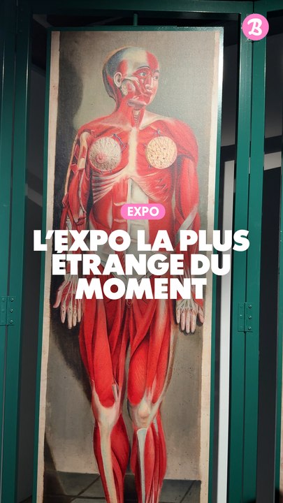 Reportage : L'expo la + étrange du moment