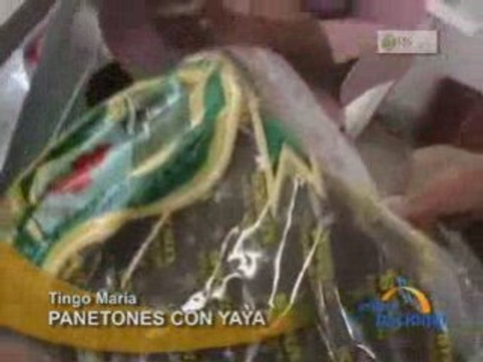 PANETONES CON YAYA _TINGO