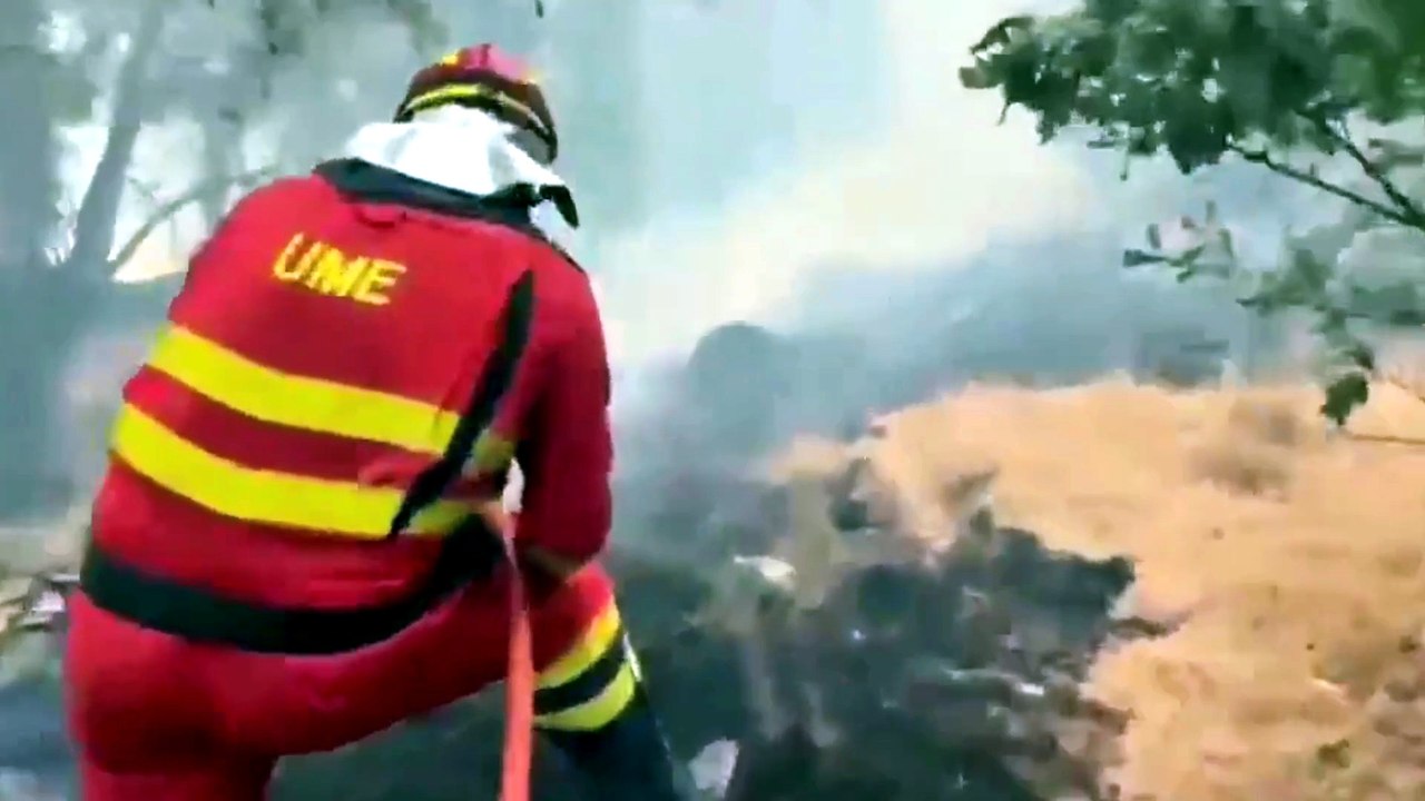 Incendios forestales afectan a España