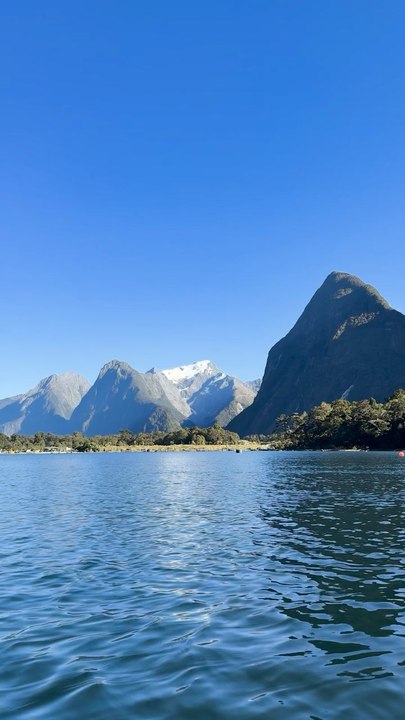 One Activity in Milford Sound That Everyone Should Experience in Their Life