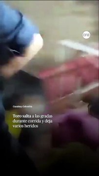 Toro salta a las gradas durante corrida y deja varios heridos