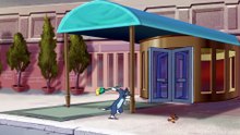 Tom and Jerry Cat Got Your Luggage @xoock