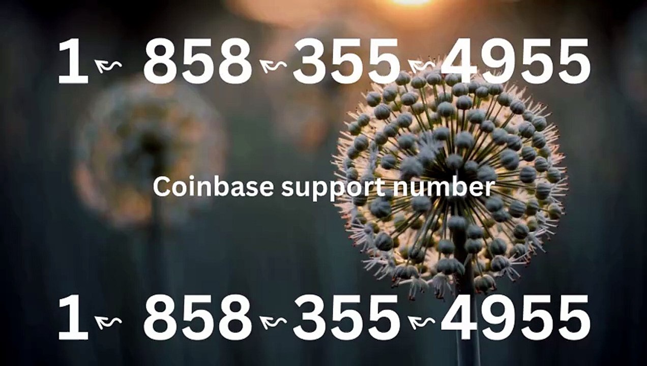 【2026】™ [*List] of Coinbase Helpline Numbers in the USA: Everything Explained
