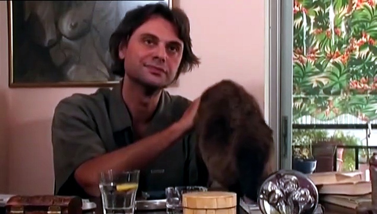 Πάρτα όλα (2003)