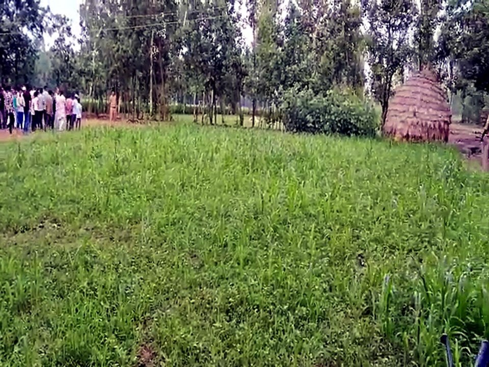 सहारनपुर पटाखा फैक्ट्री विस्फोट: मध्य प्रदेश के...