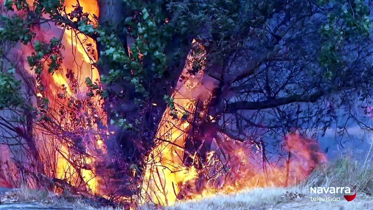 Declarado un incendio entre Salinas de Pamplona y Esquíroz