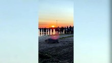 Ulisse torna in mare, la tartaruga riprende il largo dopo le cure - Video