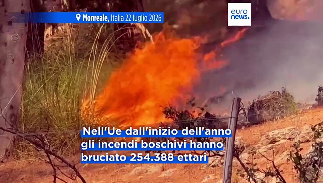 Le notizie del giorno | 24 luglio 2026 - Serale