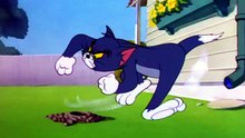 Tom And Jerry - 051 - Safety Second (1950)