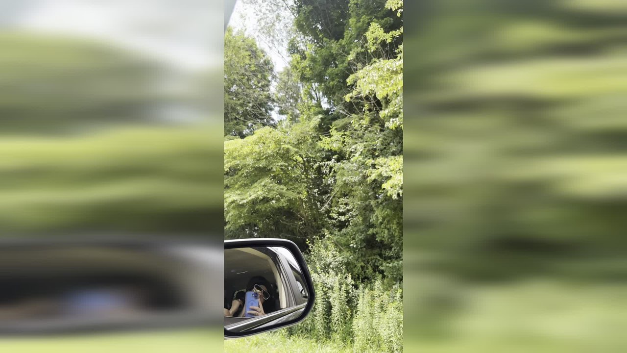 Helicopter Uses Giant Aerial Saw to Trim Trees Along Power Lines