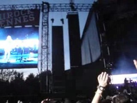 Eurockéennes 2008 - Massive attack - Teardrop