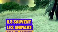 Ils sauvent les animaux des flammes
