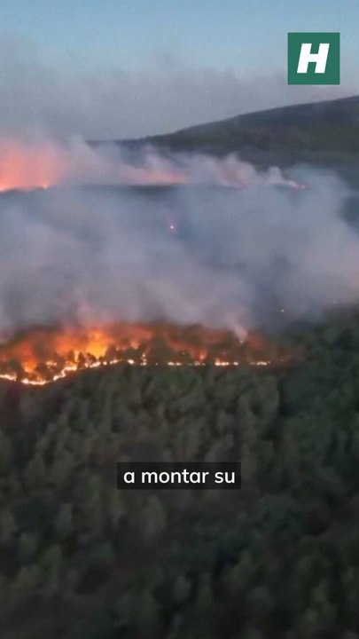 El peor incendio de la Comunidad de Madrid desde dentro