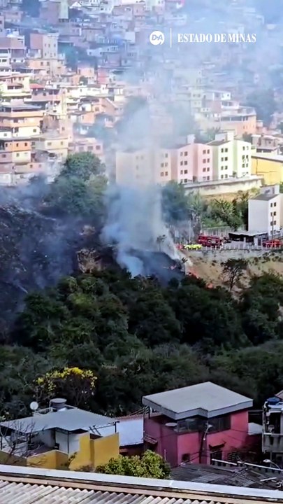 Incêndio consome vegetação próxima a parque em BH