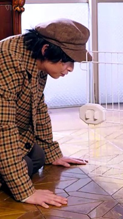Wild Revenge: Lost Connection [Full Movie]