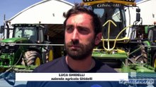 Video News - Campi e serre devastati dalla grandine nella Bassa