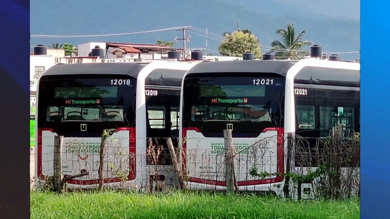 Siteur busca 50 choferes para nuevos camiones en Vallarta | CPS Noticias Puerto Vallarta