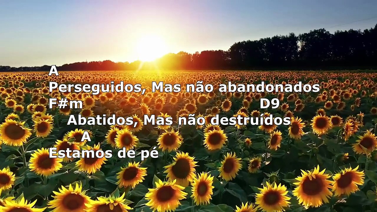 BOA MUSICA  - MARCUS SALLES -- Estamos de Pé