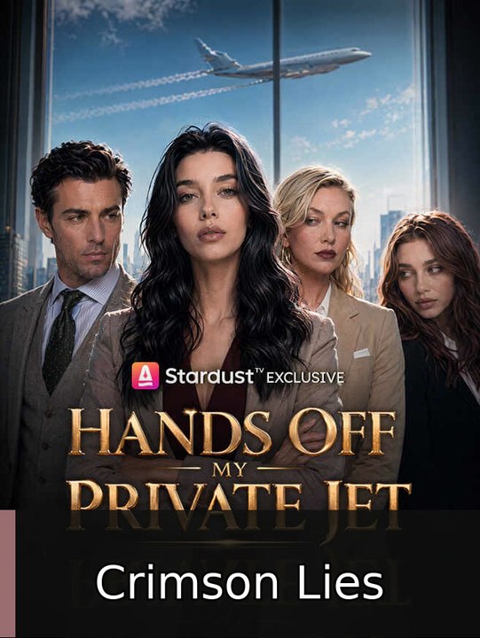 Hands Off My Private Jet MOVIES Crimson Lies
