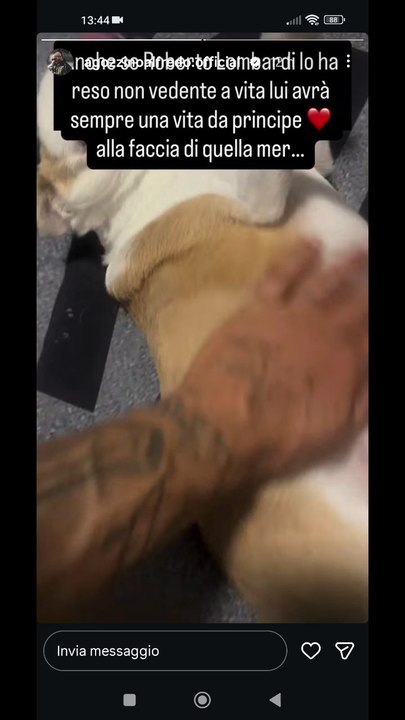 Agozzino Alfredo story con il piccolo arnold