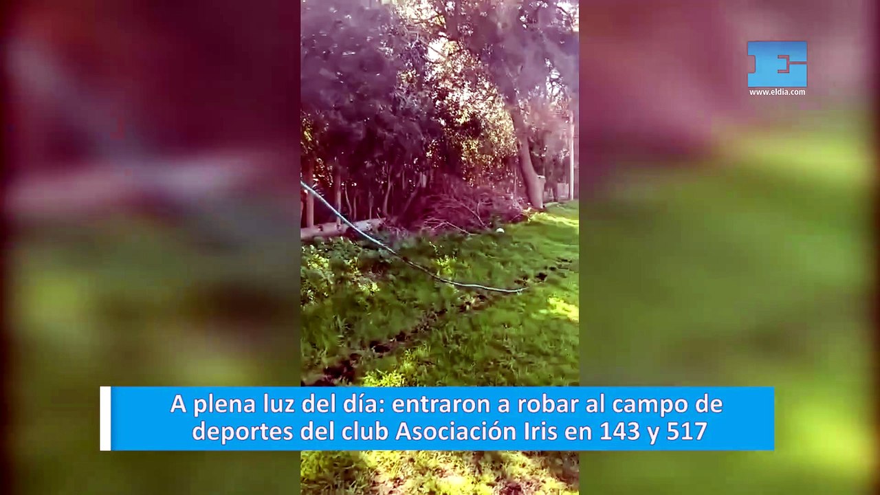 A plena luz del día: entraron a robar al campo de deportes del club Asociación Iris en 143 y 517
