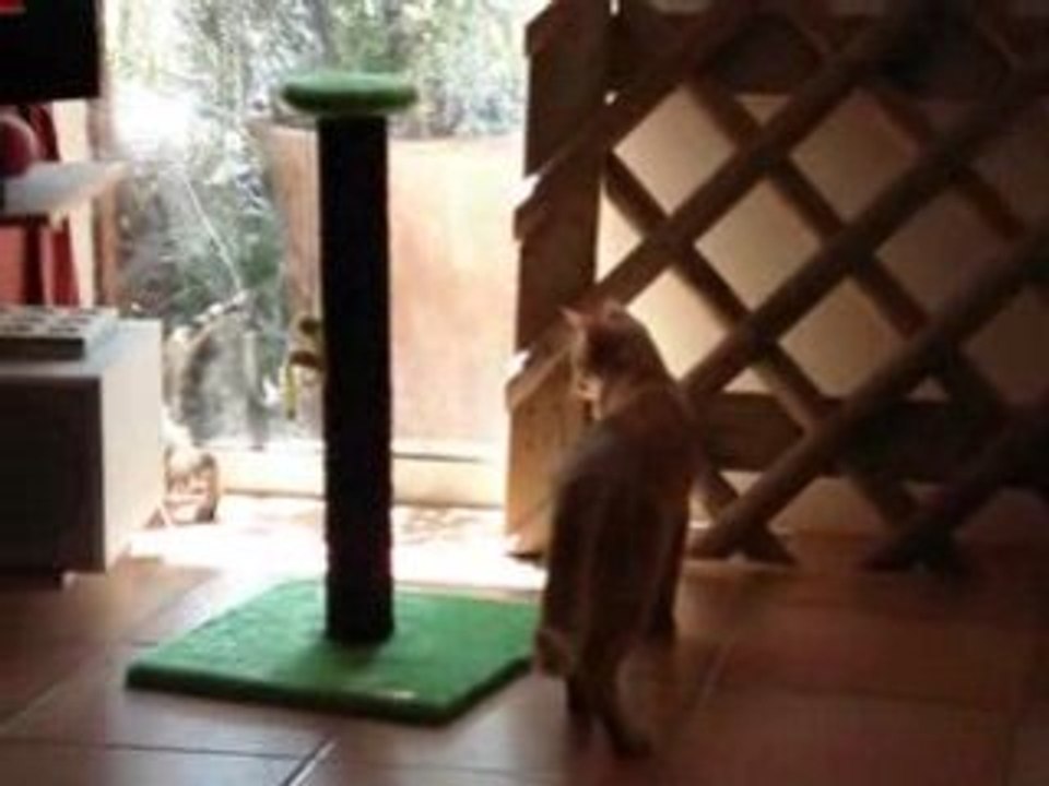 Aslan et Patxi 4
