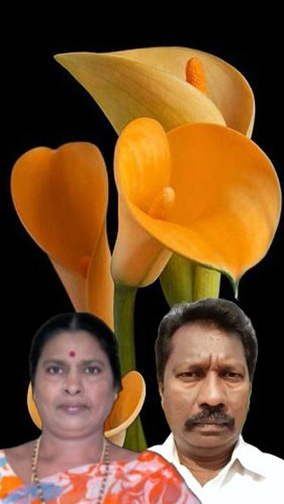 Aaduthu Paaduthu