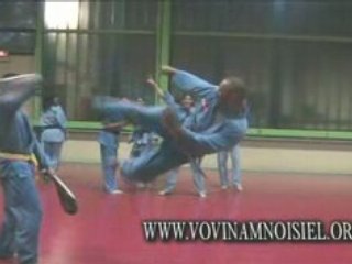 vovinam viet vo dao
