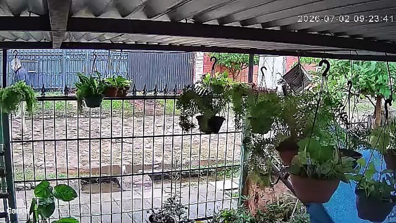 Vecinos impiden que guardias de Ueno coloquen chapas en casa de su vecina